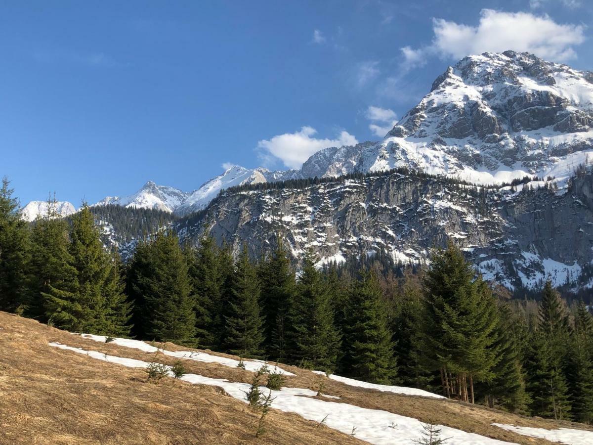 Das Halali - Dein Kleines Hotel An Der Zugspitze Ehrwald Luaran gambar